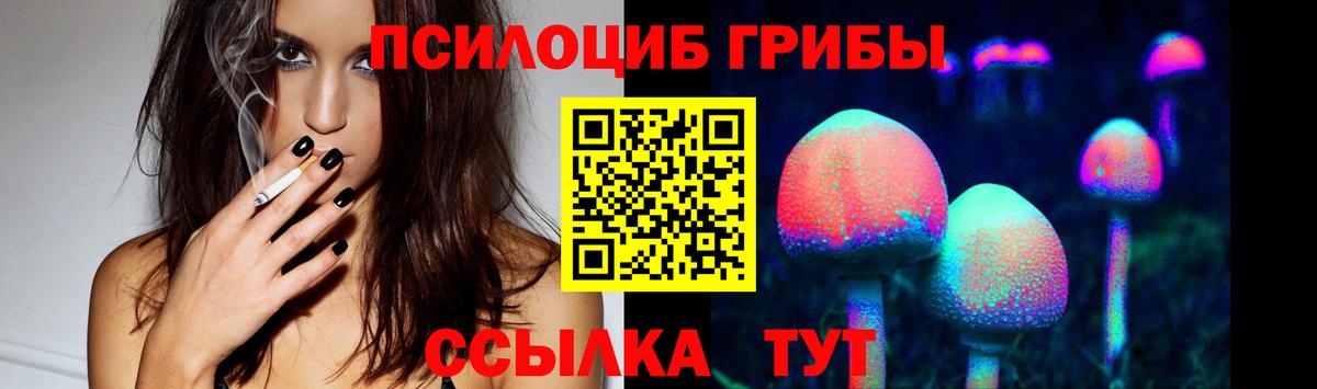 Кашира  где купить наркоту  Вход с VPN  Псилоцибиновые грибы Magic Shrooms 